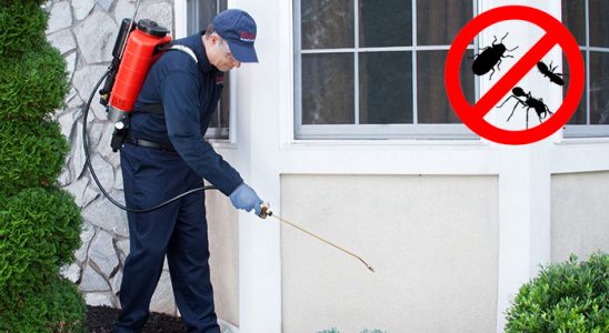 Harmandalı Böcek İlaçlama böcek ilaçlama ve haşere kontrolü — ilaclama-tr.com
